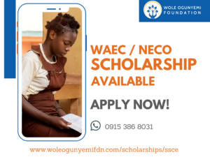 2023 Wole Ogunyemi Foundation SSCE Scholarship